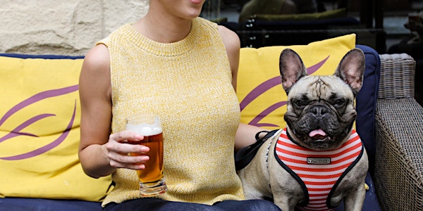 Dogs & Drafts at the Kimpton Marlowe Hotel