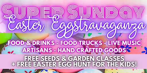 Super Sunday Eggstravaganza