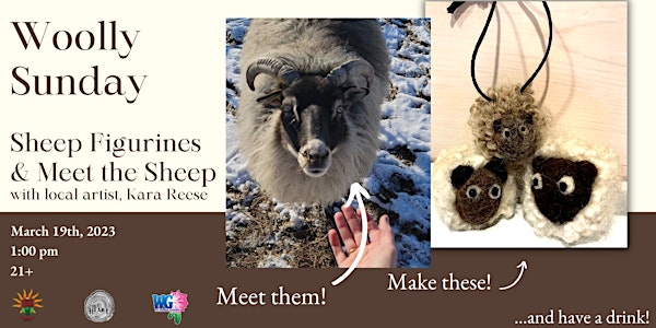 Woolly Sunday - Meet the Sheep & Sheep Figurines
