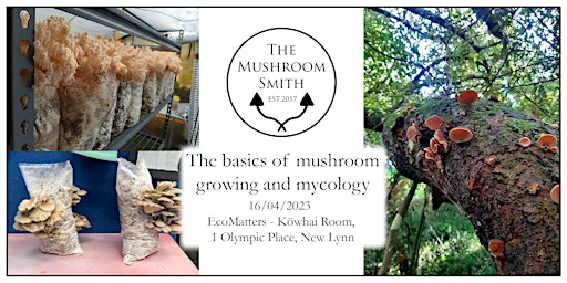 The basics of mushroom growing and mycology