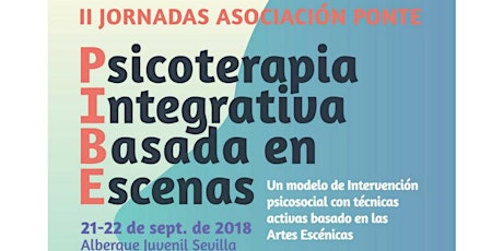 Imagen principal de Psicoterapia Integrativa Basada en Escenas (PIBE)