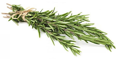 An ADF Families Event: Rosemary for ANZAC Day - Sale primary image