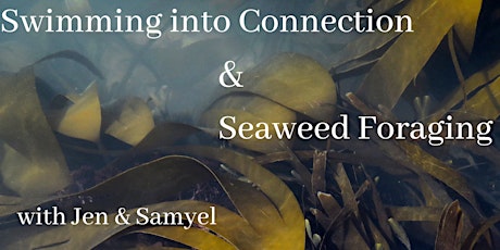 Imagen principal de Swimming into Connection & Seaweed Foraging
