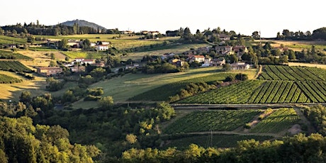 Discover Beaujolais Wines (Online) primary image