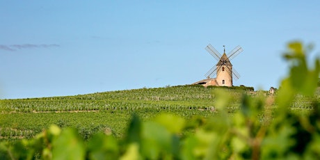 Discover Beaujolais Wines (Ogwell) primary image