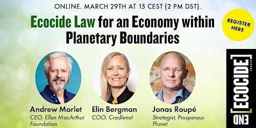Ecocide Law for an Economy within Planetary Boundaries