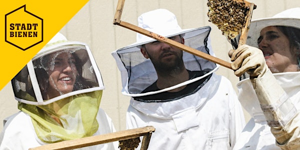 Ökologischer Imkerkurs in München von den Stadtbienen