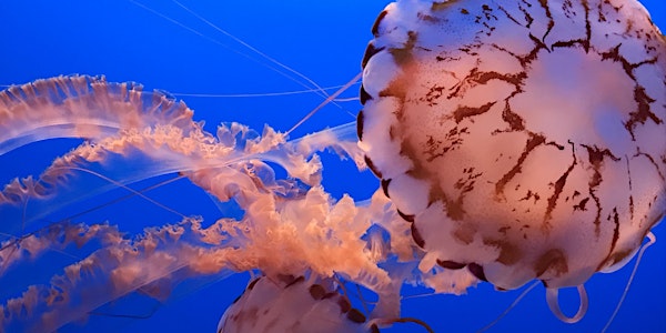 Chaos, Stillness, and Creativity
