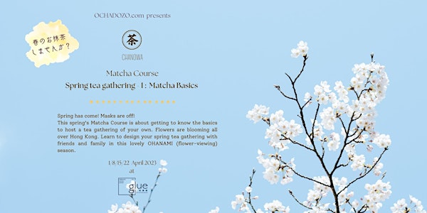 Spring tea gathering-I : Matcha Basics