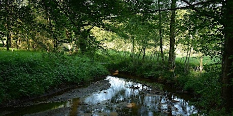 Wandeling ‘Bomen en struiken’ Dal van de Mosbeek