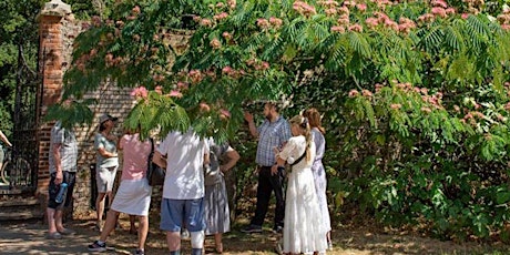 Guided Tree Walk: Trees & Ecology