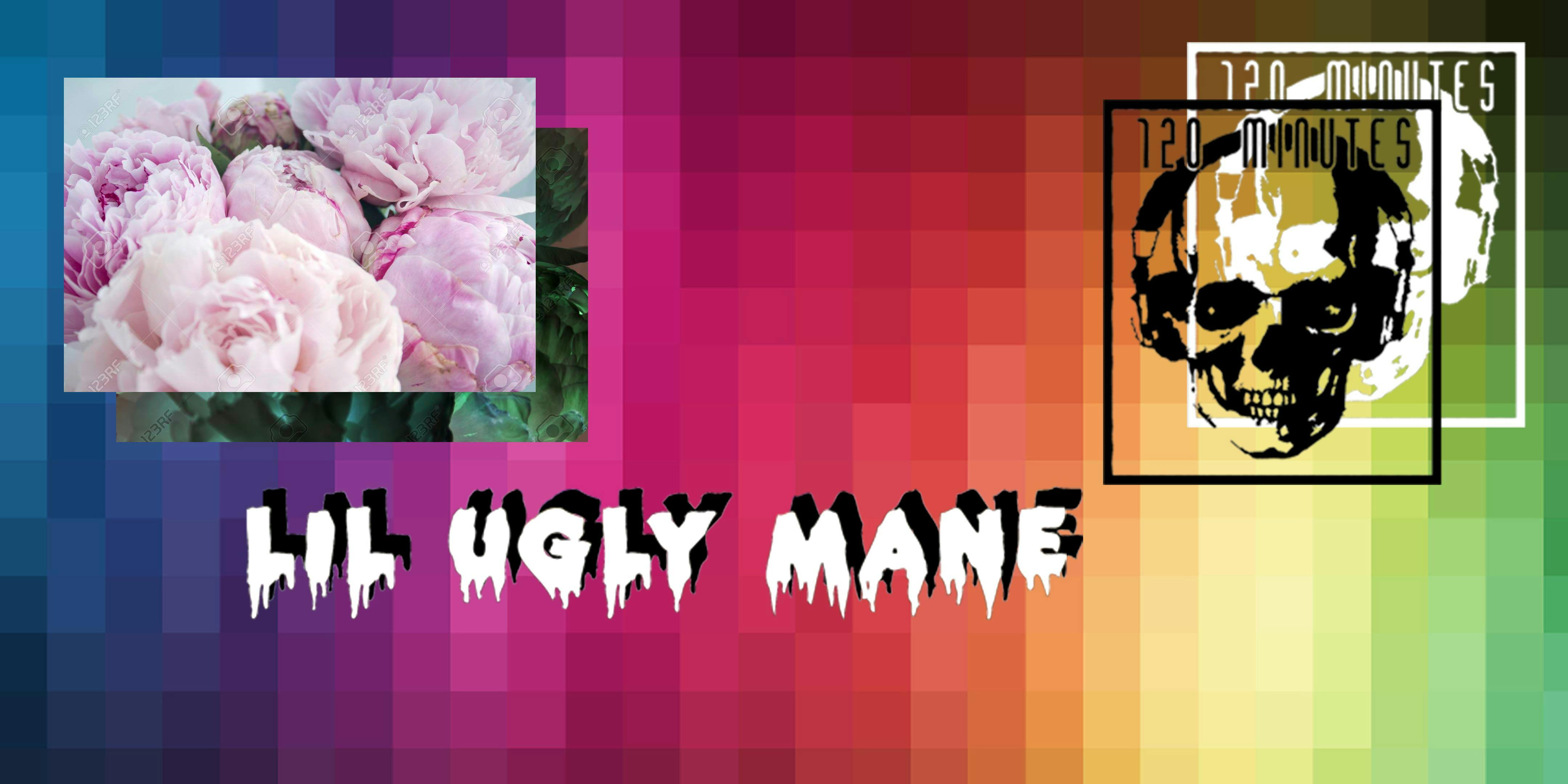 Lil' Ugly Mane