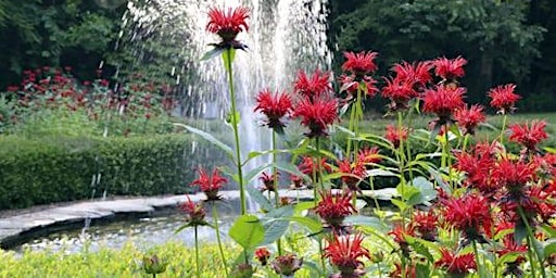 Primaire afbeelding van Accessibility Herb Walk at Greensboro Arboretum