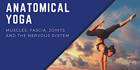 Anatomical Yoga - Muscles, Fascia, Joints and the Nervous System primary image