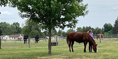 Primaire afbeelding van Legacy Equestrian Camp Week 4