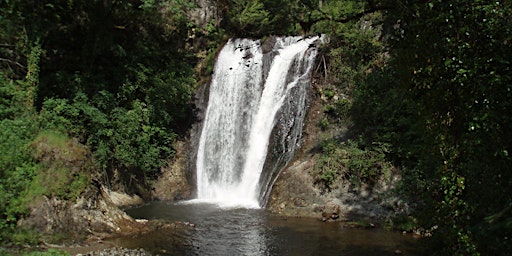 Hauptbild für Hydropower Appreciation Day 2024 Woods Creek Hydro Project Tour