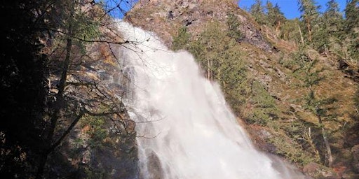 Image principale de Olympic Peninsula - Three Waterfalls Hiking Tour & Lunch