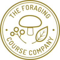 The+Foraging+Course+Company
