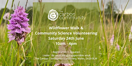 Wildflower Walk and Community Science Volunteering