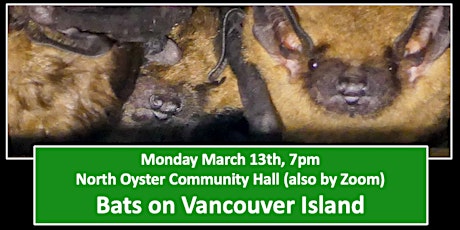 Bats on Vancouver Island