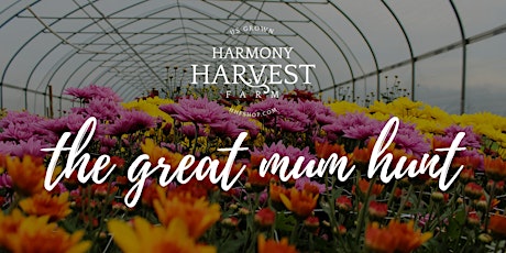 Harmony Harvest Farm's Great Mum Hunt