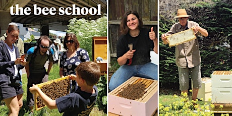 Free Natural Beekeeping School - by Ceracell & For the Love of Bees primary image