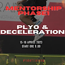 Plyo & deceleration