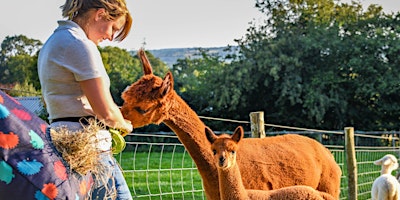 Hauptbild für Alpaca Interaction  and Wine Tasting