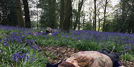 Harmony in Nature Woodland Immersion at Harry Edwards Sanctuary primary image