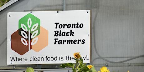 Toronto Black Farmers and Growers Collective - Morning Field Visit