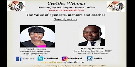 The value of sponsors, mentors and coaches - Webinar primary image