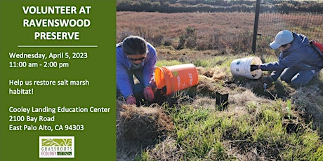 Volunteer Outdoors in East Palo Alto at Ravenswood Preserve