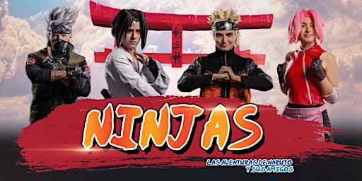 Ninjas las aventuras de Naruto y sus amigos.