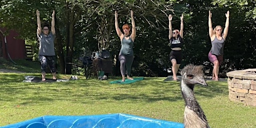 Standing Yoga at the Farm