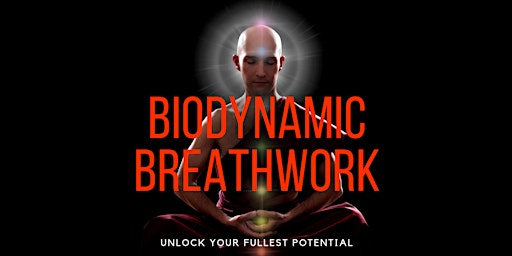 Bio dynamic Breath work Experience