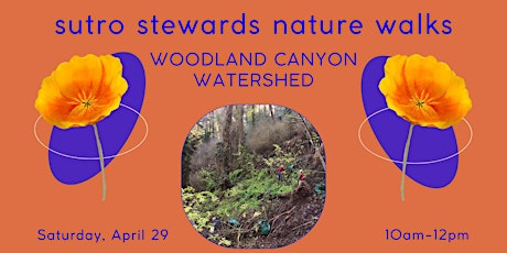 Mount Sutro Nature Walks: Woodland Canyon Watershed