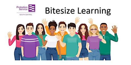 Bitesize Learning - Dependency &  Recovery CRS