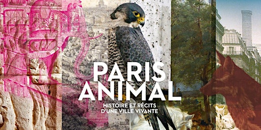 Visites guidées "Paris Animal. Histoire et récits d'une ville vivante" primary image