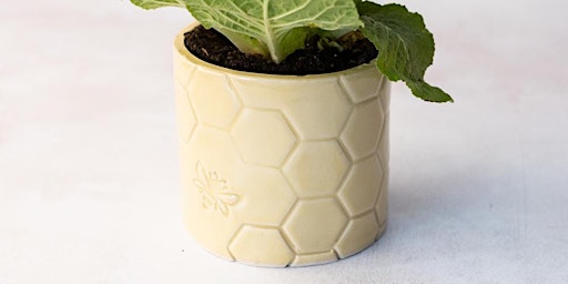 Make your own Plant Pots - Ceramic Workshop primary image