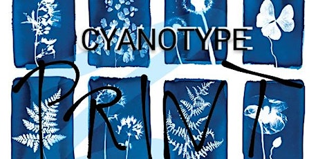 Image principale de CYANOTYPE PRINTING WORKSHOP - WOMENS DAY - FULACHT  FIADH CAFE
