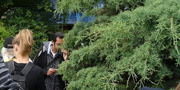 Smell and Touch Sensory Safari