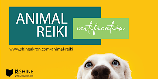 Immagine principale di SHINE Animal Reiki Certification 