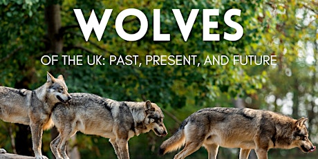 Wolves in the UK: Past, Present and Future