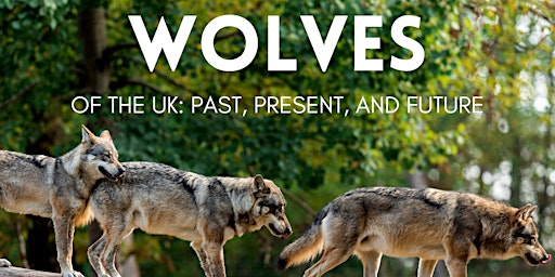 Wolves in the UK: Past, Present and Future  primärbild