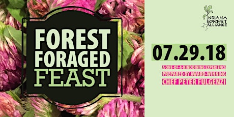Forest-Foraged Feast primary image