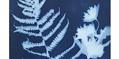 Primaire afbeelding van Cyanotype Printmaking