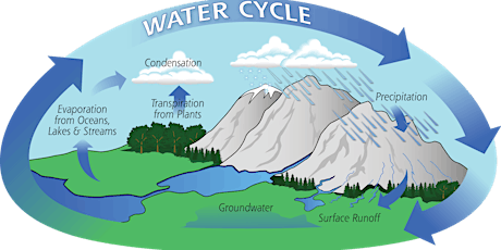 Homeschool Hangout: Earth's Water Cycle