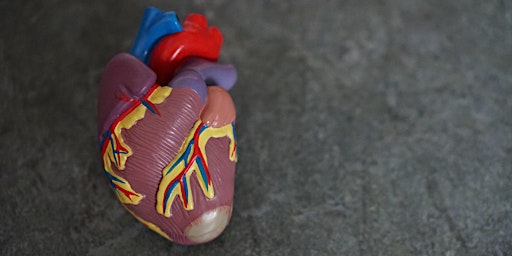 Image principale de Matinée d'information sur l'insuffisance cardiaque - Jeudi 1er juin 2023