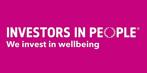FREE virtual Introduction to the We Invest in Wellbeing Standard primary image