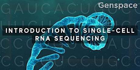 Introduction to Single-Cell RNA Sequencing